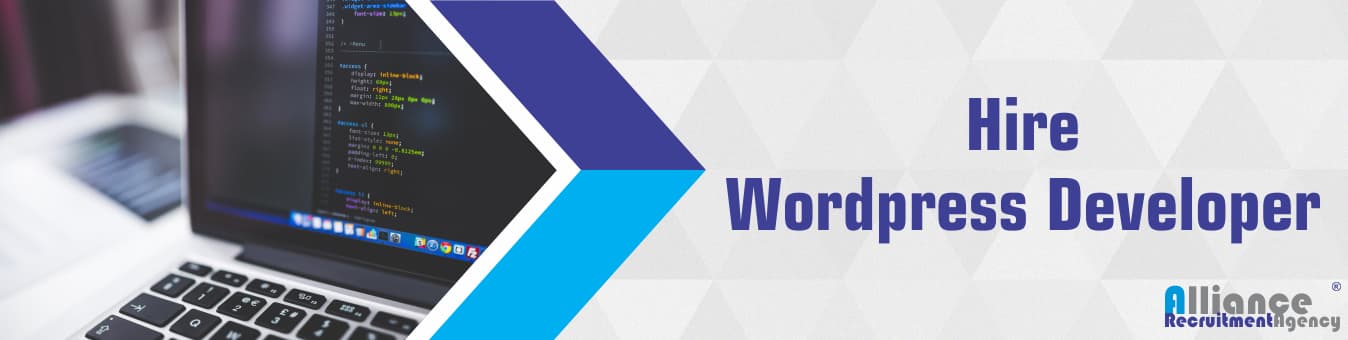 Hire Wordpress Developer