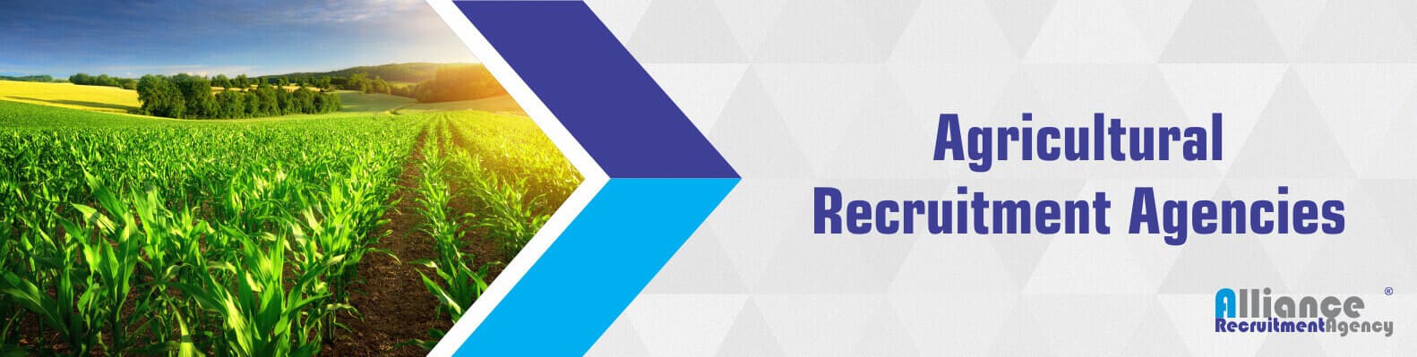 Agriculture Recruitment Agencies