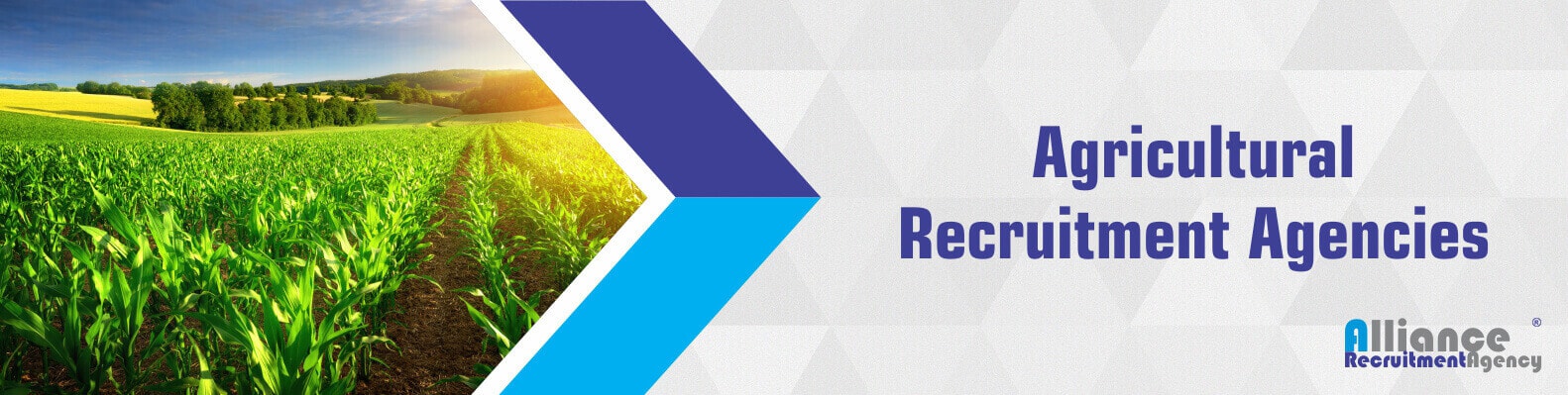 Agriculture Recruitment Agencies